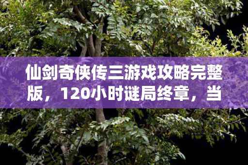 仙剑奇侠传三游戏攻略完整版,120小时谜局终章,当景天剑尖最后一滴血坠落,谁在2027年哭成石像 仙剑奇侠传三游戏攻略完整版,120小时谜局终章,当景天剑尖最后一滴血坠落,谁在2027年哭成石像