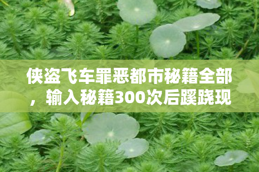 侠盗飞车罪恶都市秘籍全部，输入秘籍300次后蹊跷现，罪恶都市背后真相让我后背发凉