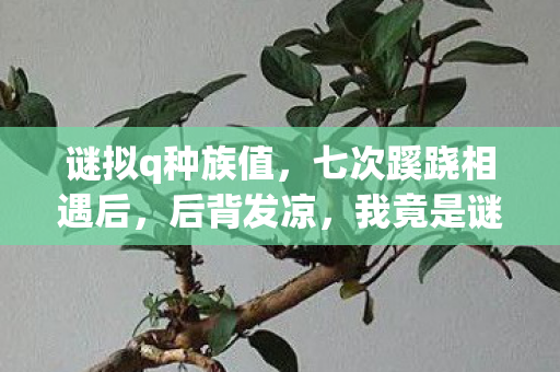 谜拟q种族值,七次蹊跷相遇后,后背发凉,我竟是谜拟q的千年棋子? 谜拟q种族值,七次蹊跷相遇后,后背发凉,我竟是谜拟q的千年棋子?