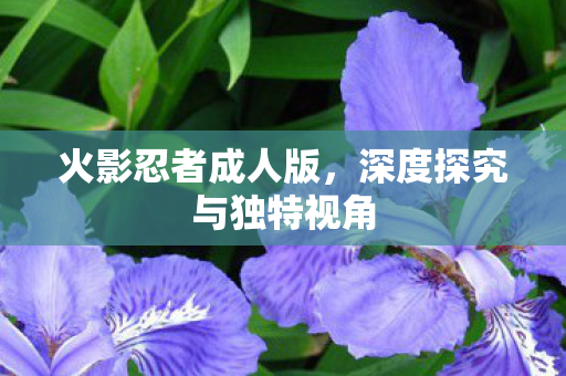 深度探究与独特视角图片