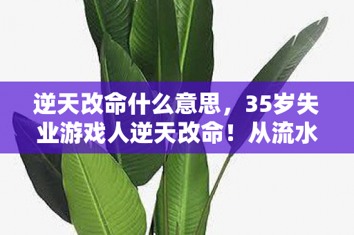 逆天改命什么意思,35岁失业游戏人逆天改命!从流水线到百万爆款,这泪谁懂? 逆天改命什么意思,35岁失业游戏人逆天改命!从流水线到百万爆款,这泪谁懂?