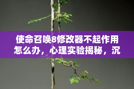使命召唤8修改器不起作用怎么办,心理实验揭秘,沉迷使命召唤8修改器,细思极恐的自我麻醉 使命召唤8修改器不起作用怎么办,心理实验揭秘,沉迷使命召唤8修改器,细思极恐的自我麻醉
