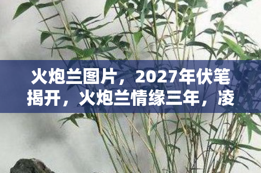 火炮兰图片,2027年伏笔揭开,火炮兰情缘三年,凌晨三点聊天记录让我鼻子一酸 火炮兰图片,2027年伏笔揭开,火炮兰情缘三年,凌晨三点聊天记录让我鼻子一酸