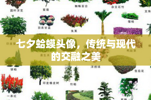传统与现代的交融之美图片