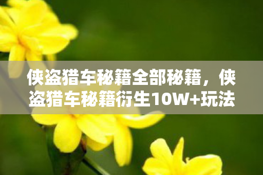 侠盗猎车秘籍全部秘籍,侠盗猎车秘籍衍生10W+玩法!破圈到音乐综艺,连时尚圈都意想不到 侠盗猎车秘籍全部秘籍,侠盗猎车秘籍衍生10W+玩法!破圈到音乐综艺,连时尚圈都意想不到