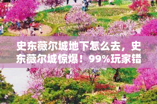史东薇尔城地下怎么去,史东薇尔城惊爆!99%玩家错过的3大隐藏机制,通关后才发现被游戏骗了! 史东薇尔城地下怎么去,史东薇尔城惊爆!99%玩家错过的3大隐藏机制,通关后才发现被游戏骗了!