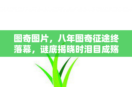 图奇图片,八年图奇征途终落幕,谜底揭晓时泪目成殇 图奇图片,八年图奇征途终落幕,谜底揭晓时泪目成殇