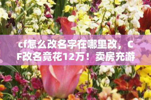 cf怎么改名字在哪里改,CF改名竟花12万!卖房充游戏被离婚,这隐情让人吓一跳! cf怎么改名字在哪里改,CF改名竟花12万!卖房充游戏被离婚,这隐情让人吓一跳!