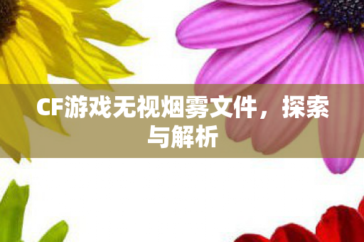 CF游戏无视烟雾文件图片
