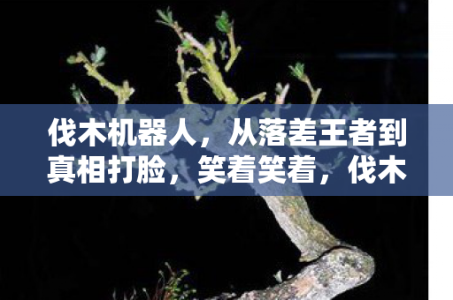 伐木机器人,从落差王者到真相打脸,笑着笑着,伐木机让我哭了 伐木机器人,从落差王者到真相打脸,笑着笑着,伐木机让我哭了