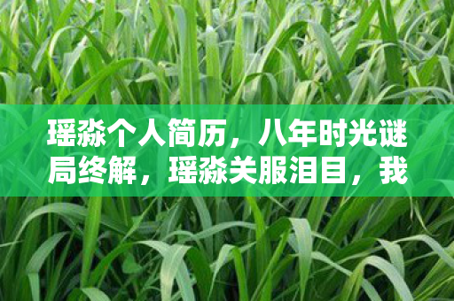 4399奥奇传说手游,网吧百人受访揭秘,4399奥奇传说疑云重重,大神绷不住泪洒当场 4399奥奇传说手游,网吧百人受访揭秘,4399奥奇传说疑云重重,大神绷不住泪洒当场