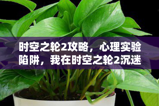 时空之轮2攻略,心理实验陷阱,我在时空之轮2沉迷三年,细思极恐的自我囚禁 时空之轮2攻略,心理实验陷阱,我在时空之轮2沉迷三年,细思极恐的自我囚禁