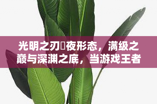 光明之刃咲夜形态,满级之巅与深渊之底,当游戏王者的荣耀撞碎现实废物的灵魂 光明之刃咲夜形态,满级之巅与深渊之底,当游戏王者的荣耀撞碎现实废物的灵魂