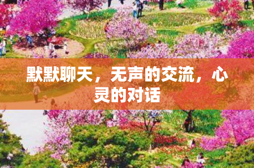 无声的交流图片