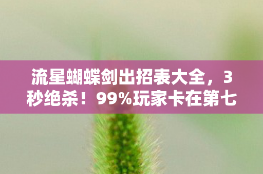 流星蝴蝶剑出招表大全，3秒绝杀！99%玩家卡在第七式，这招背后藏着血色江湖