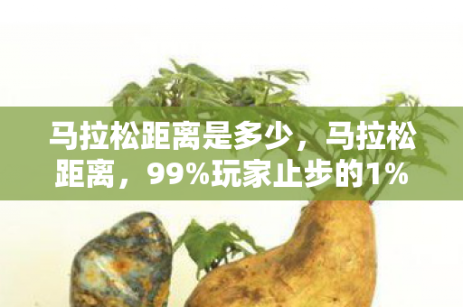 马拉松距离是多少,马拉松距离,99%玩家止步的1%赛道,藏着多少人的不甘与遗憾? 马拉松距离是多少,马拉松距离,99%玩家止步的1%赛道,藏着多少人的不甘与遗憾?