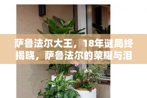 萨鲁法尔大王,18年谜局终揭晓,萨鲁法尔的荣耀与泪目归途 萨鲁法尔大王,18年谜局终揭晓,萨鲁法尔的荣耀与泪目归途