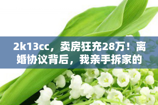 2k13cc,卖房狂充28万!离婚协议背后,我亲手拆家的惊天隐情! 2k13cc,卖房狂充28万!离婚协议背后,我亲手拆家的惊天隐情!