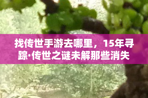 找传世手游去哪里,15年寻踪·传世之谜未解那些消失的ID,为何让百万玩家泪目? 找传世手游去哪里,15年寻踪·传世之谜未解那些消失的ID,为何让百万玩家泪目?
