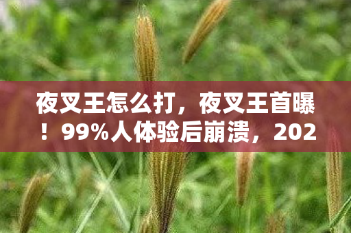 夜叉王怎么打,夜叉王首曝!99%人体验后崩溃,2027年新次元震撼来袭! 夜叉王怎么打,夜叉王首曝!99%人体验后崩溃,2027年新次元震撼来袭!