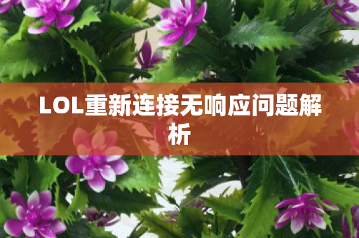 LOL重新连接无响应问题解析图片