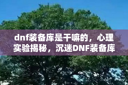 dnf装备库是干嘛的,心理实验揭秘,沉迷DNF装备库三年,细思极恐的自我囚禁 dnf装备库是干嘛的,心理实验揭秘,沉迷DNF装备库三年,细思极恐的自我囚禁