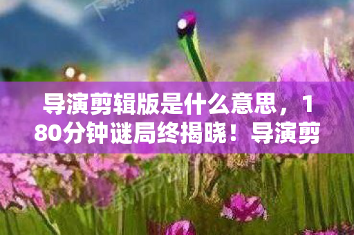 白铁军,白铁狂充38万卖房钱!离婚协议背后,惊爆游戏成瘾隐情! 白铁军,白铁狂充38万卖房钱!离婚协议背后,惊爆游戏成瘾隐情!