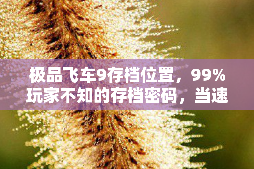 ps联盟软件下载,心理实验揭秘,沉迷PS联盟六年,细思极恐的自我麻醉真相 ps联盟软件下载,心理实验揭秘,沉迷PS联盟六年,细思极恐的自我麻醉真相