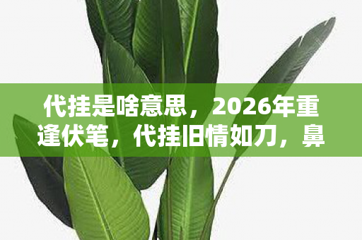 代挂是啥意思,2026年重逢伏笔,代挂旧情如刀,鼻子一酸忆往昔 代挂是啥意思,2026年重逢伏笔,代挂旧情如刀,鼻子一酸忆往昔