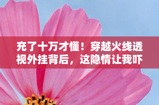 充了十万才懂!穿越火线透视外挂背后,这隐情让我吓一大跳! 充了十万才懂!穿越火线透视外挂背后,这隐情让我吓一大跳!