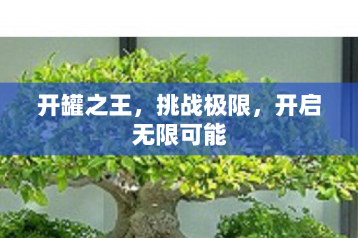 开启无限可能图片