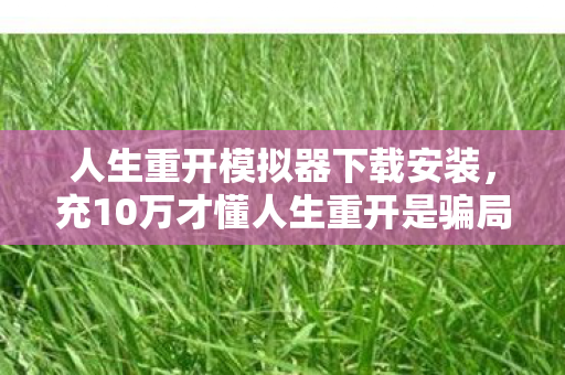 人生重开模拟器下载安装,充10万才懂人生重开是骗局!隐藏消费清单曝光,吓得我手机都摔了 人生重开模拟器下载安装,充10万才懂人生重开是骗局!隐藏消费清单曝光,吓得我手机都摔了