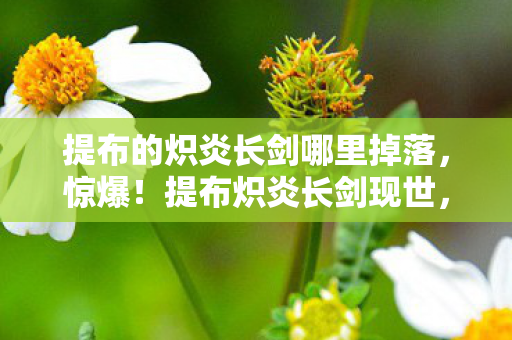 奇丽草什么性格好,3000小时玩家自曝,奇丽草制作人竟是单亲妈妈,这背后藏着多少心酸? 奇丽草什么性格好,3000小时玩家自曝,奇丽草制作人竟是单亲妈妈,这背后藏着多少心酸?