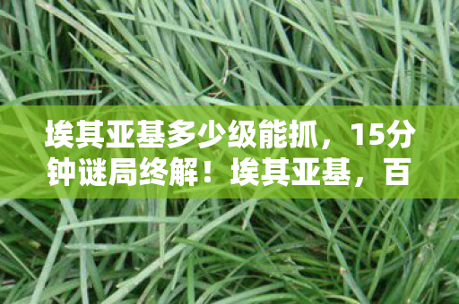 克敌机先周瑜,三次克敌机先竟藏蹊跷,真相揭晓时后背发凉! 克敌机先周瑜,三次克敌机先竟藏蹊跷,真相揭晓时后背发凉!