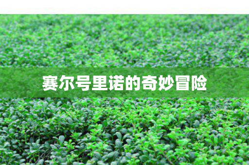 赛尔号里诺的奇妙冒险图片