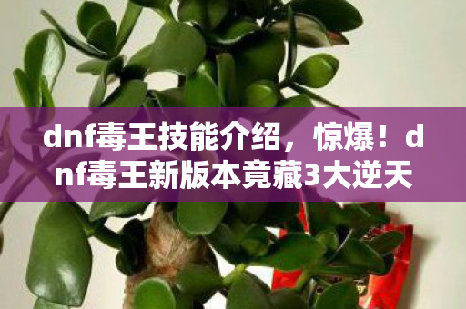 荣耀印记是多少星,代码量超载!暗线织就的荣耀印记,头皮发麻的数字人生自救指南 荣耀印记是多少星,代码量超载!暗线织就的荣耀印记,头皮发麻的数字人生自救指南