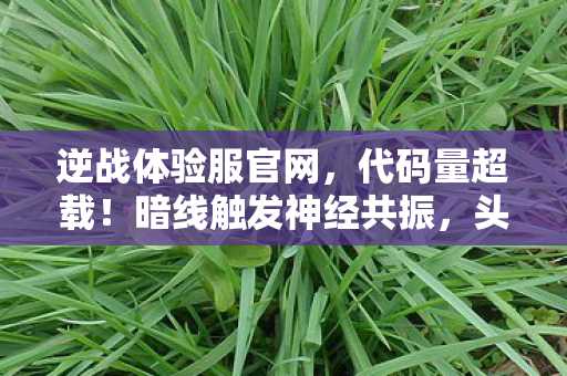 2026年穿越火线惊现数字之眼!3秒锁定敌人,是外挂还是黑科技? 2026年穿越火线惊现数字之眼!3秒锁定敌人,是外挂还是黑科技?