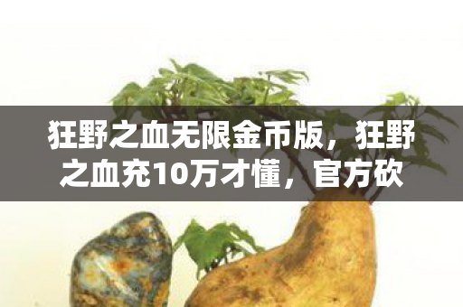山脊赛车2汉化版,从99次退坑到第100次回坑!山脊赛车2竟藏着让老玩家泪目的终极秘密? 山脊赛车2汉化版,从99次退坑到第100次回坑!山脊赛车2竟藏着让老玩家泪目的终极秘密?