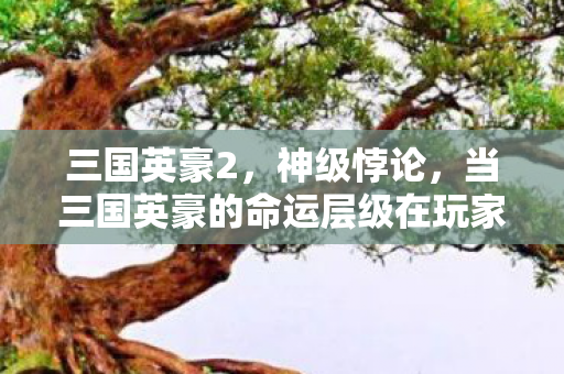 三国英豪2,神级悖论,当三国英豪的命运层级在玩家指尖崩塌时,谁在操控谁? 三国英豪2,神级悖论,当三国英豪的命运层级在玩家指尖崩塌时,谁在操控谁?
