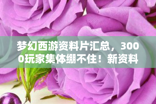 梦幻西游资料片汇总,3000玩家集体绷不住!新资料片暗藏时间裂缝?策划组连夜删帖跑路 梦幻西游资料片汇总,3000玩家集体绷不住!新资料片暗藏时间裂缝?策划组连夜删帖跑路