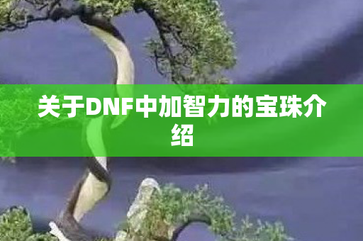 关于DNF中加智力的宝珠介绍图片