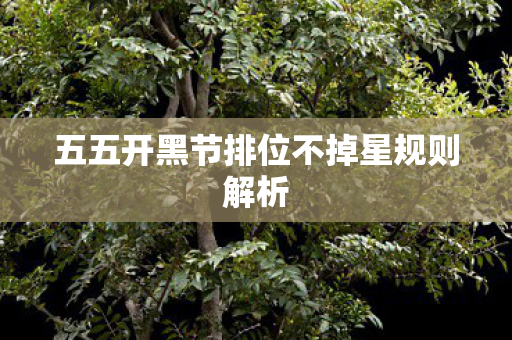 五五开黑节排位不掉星规则解析图片