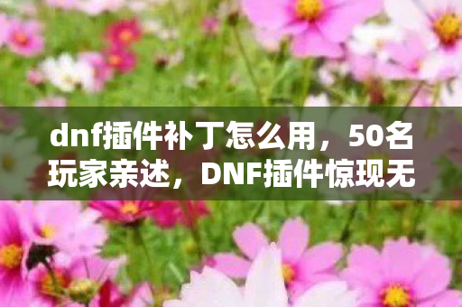 朱迪嘉兰百科，朱迪·嘉兰之影，游戏血色线索下的悬案，毛骨悚然真相待揭