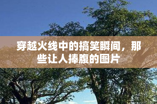 穿越火线中的搞笑瞬间图片