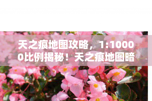天之痕地图攻略,1:10000比例揭秘!天之痕地图暗藏的孤独,99%玩家都曾深夜破防 天之痕地图攻略,1:10000比例揭秘!天之痕地图暗藏的孤独,99%玩家都曾深夜破防
