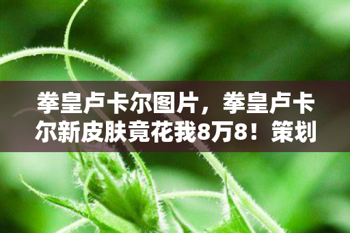 鬼影镇秘籍代码,鬼影镇衍生数据破300万!破圈玩法竟让音乐综艺与时尚圈集体沦陷 鬼影镇秘籍代码,鬼影镇衍生数据破300万!破圈玩法竟让音乐综艺与时尚圈集体沦陷
