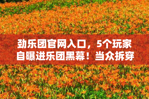 劲乐团官网入口,5个玩家自曝进乐团黑幕!当众拆穿绷不住的离谱真相 劲乐团官网入口,5个玩家自曝进乐团黑幕!当众拆穿绷不住的离谱真相