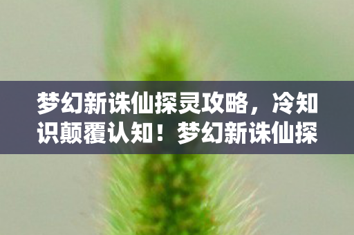 奥多乐园还会上线吗,奥多乐园狂吸10万血汗钱!隐藏消费陷阱让我钱包空空吓一跳 奥多乐园还会上线吗,奥多乐园狂吸10万血汗钱!隐藏消费陷阱让我钱包空空吓一跳