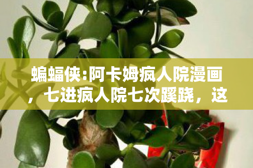元梦之星兑换码免费领取,惊爆!3次兑换码蹊跷现世,背后真相让人后背发凉 元梦之星兑换码免费领取,惊爆!3次兑换码蹊跷现世,背后真相让人后背发凉