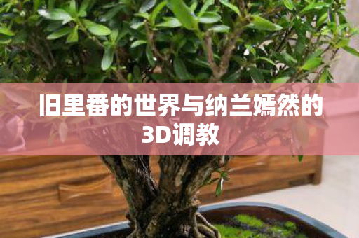 旧里番的世界与纳兰嫣然的3D调教图片